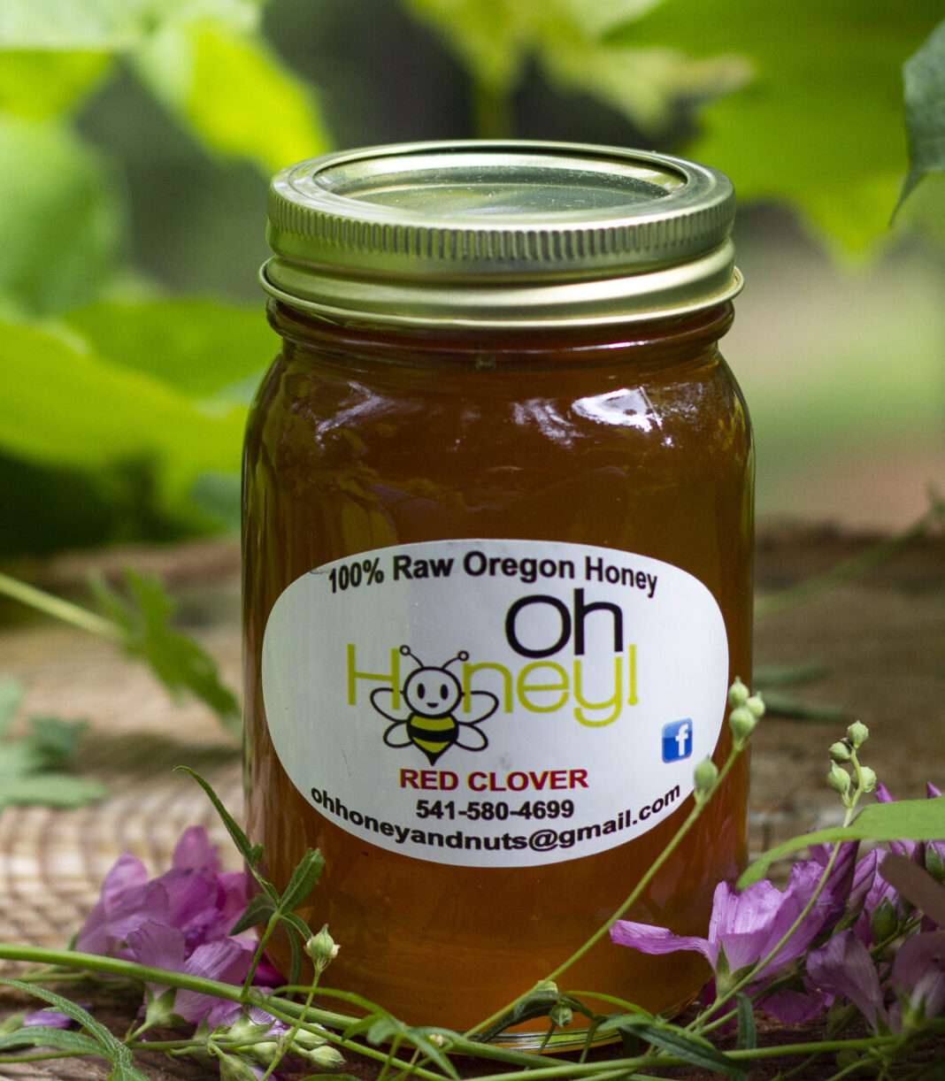 Wild Bunch Basket – 3 Pack 24oz Oregon Raw Honey - Image 3