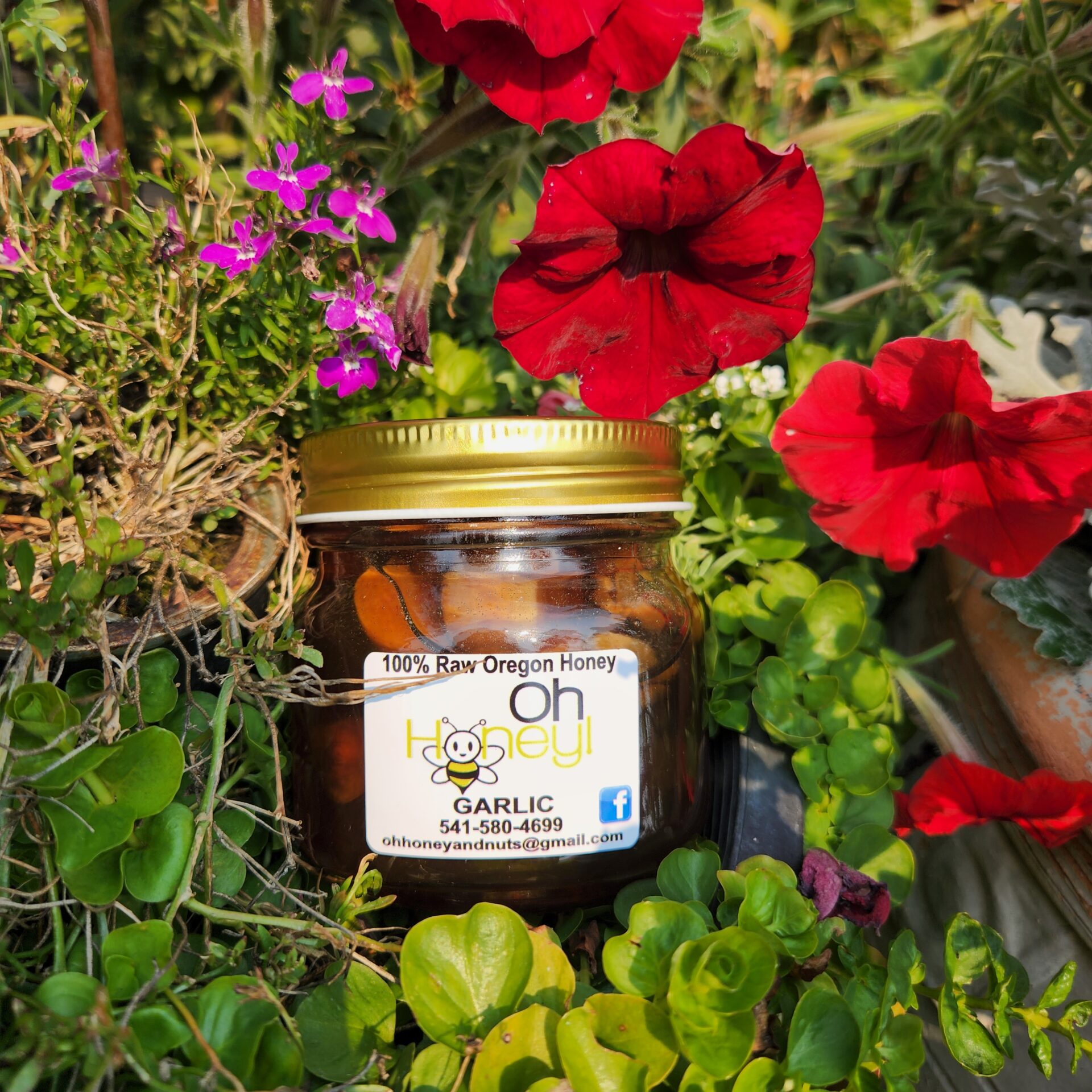 Garlic Honey – 12oz Infused with Whole Garlic